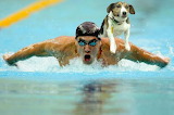 swimming-phelps-jack - online jigsaw puzzle - 40 pieces