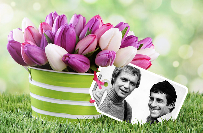 S&H Spring