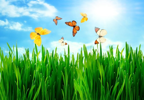 Spring