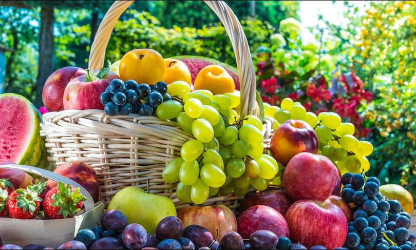 Fruits