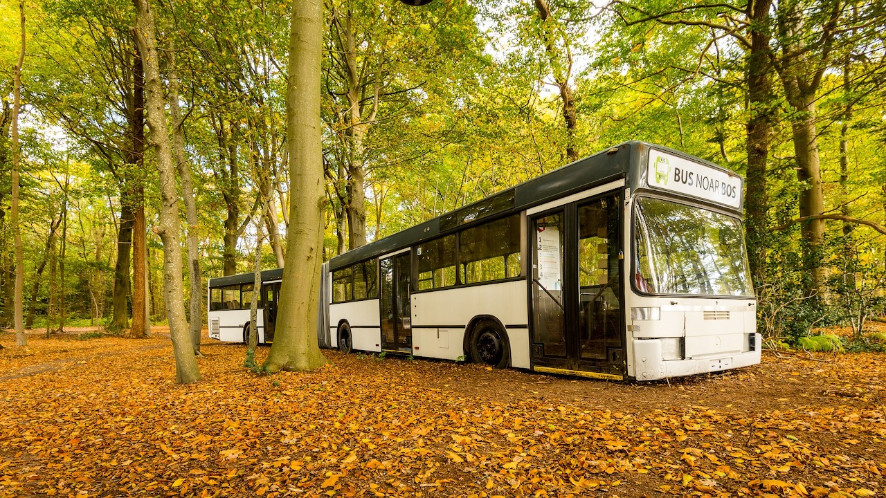 75. зиу 682 лиаз-677. памятник краснокаменск лиаз. кузовом автобуса зап-21. автобус в заповедник.