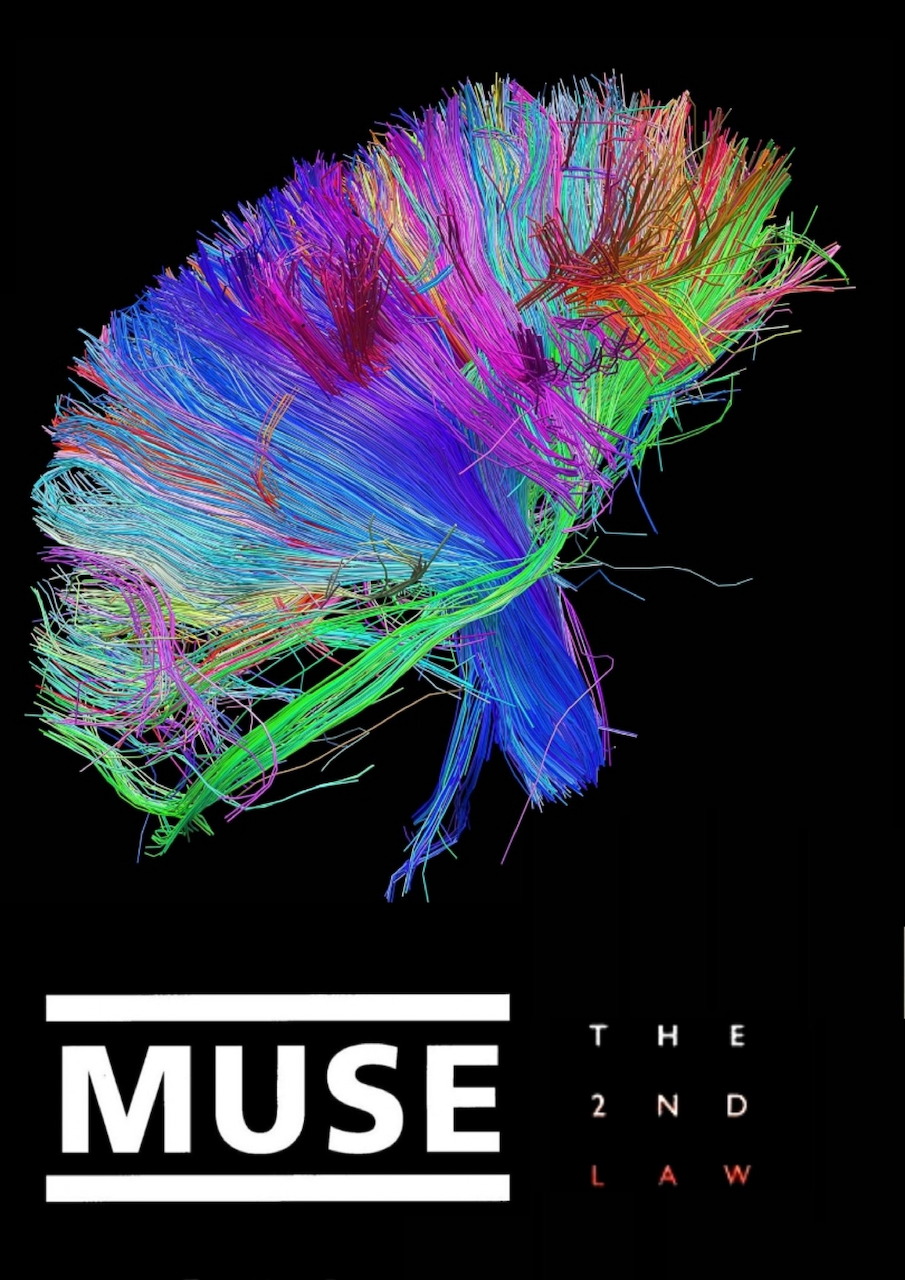 Muse