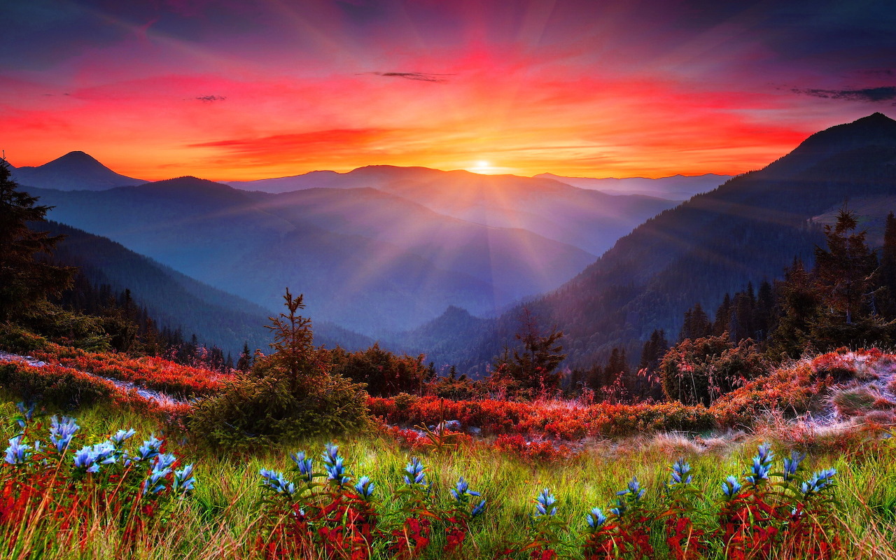 Landscapes