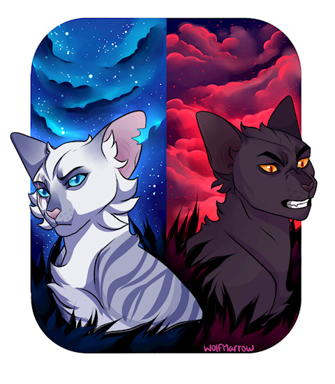 Randomdragonnerd Warrior Cats