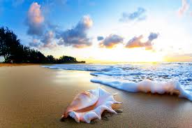 Beaches