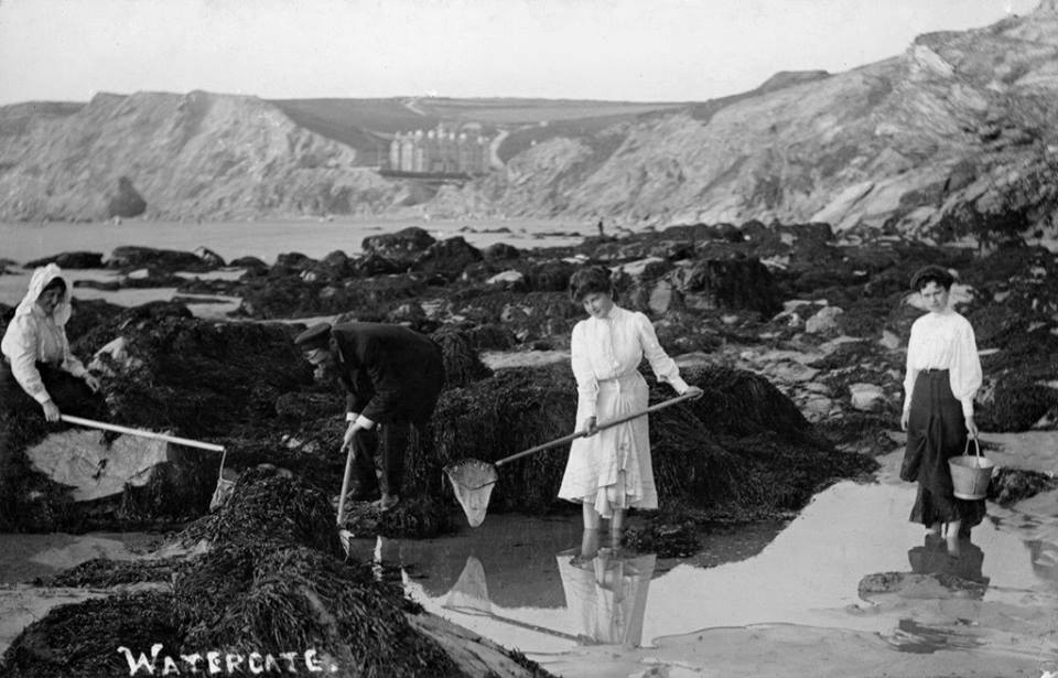 Exploring Rock Pools