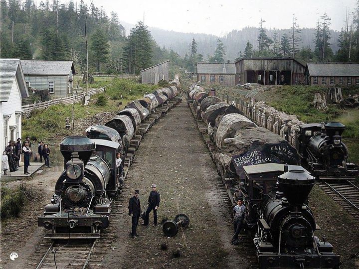 Logging