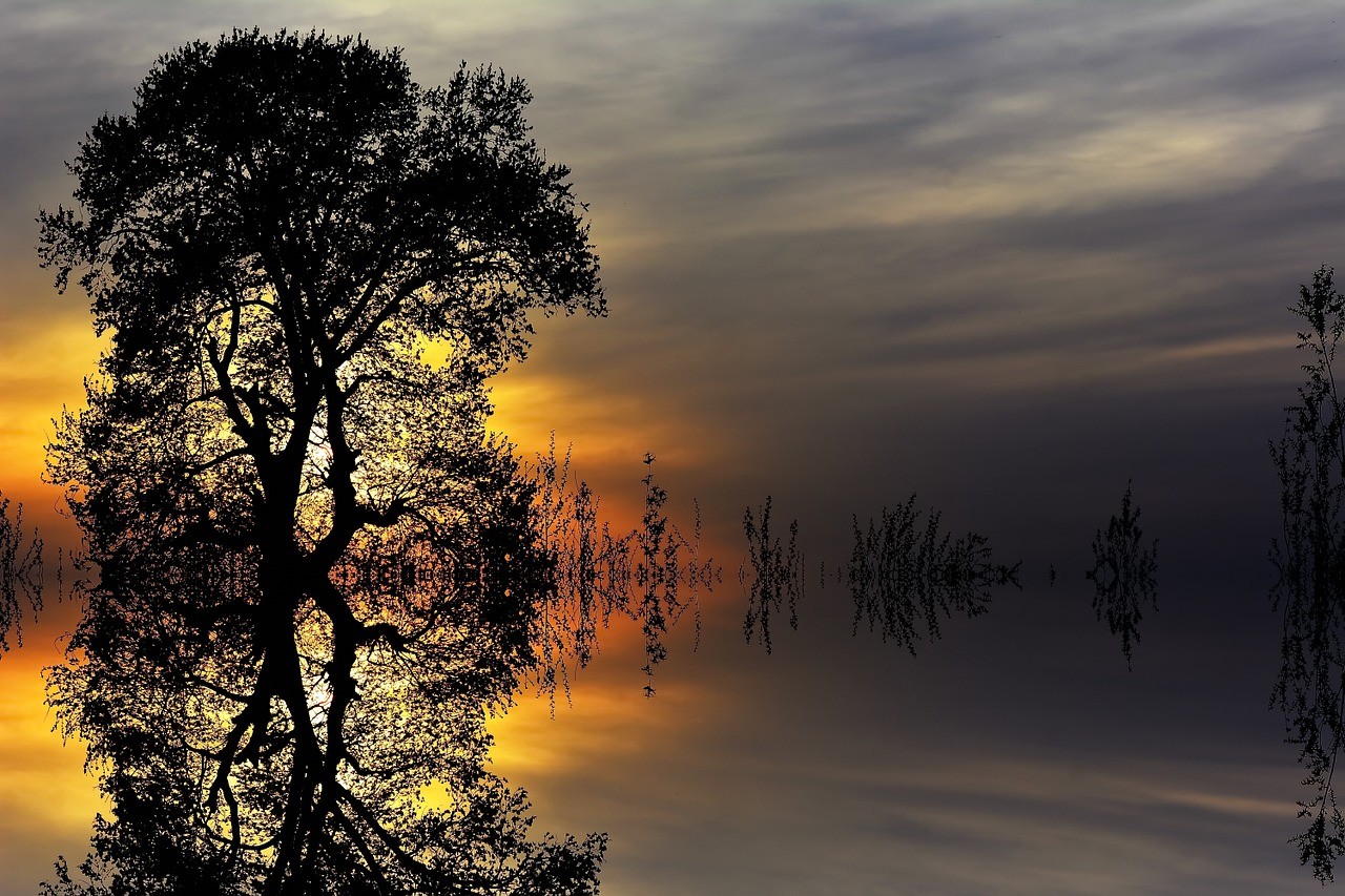Reflections