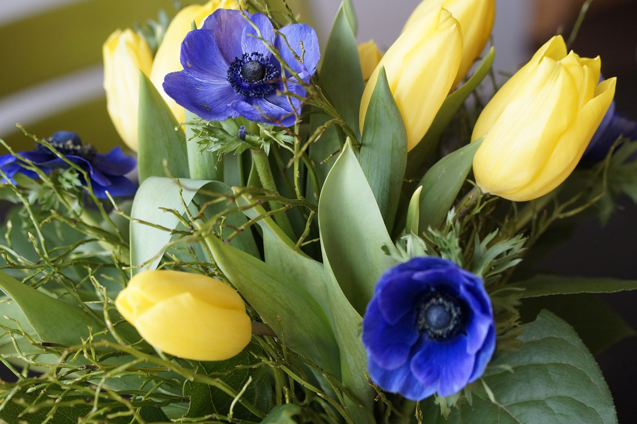 Spring