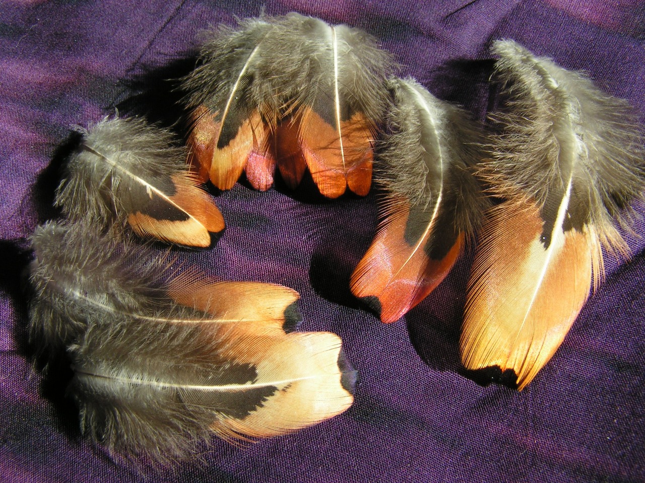 Feathers