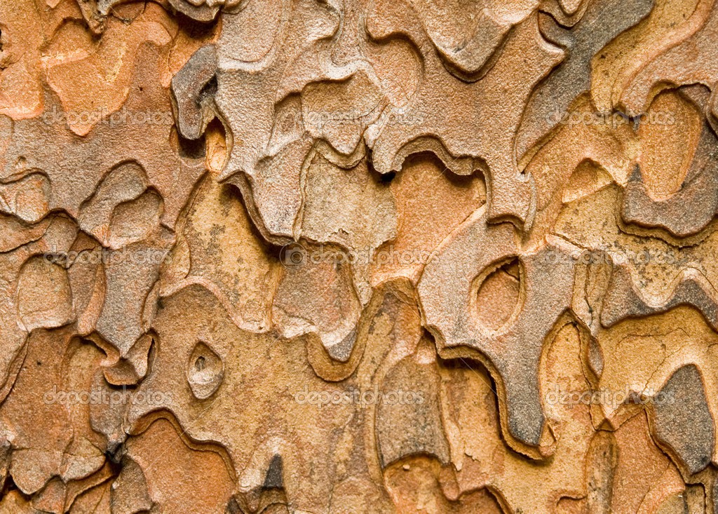 Texture
