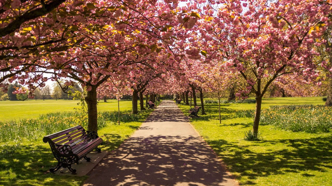 Park