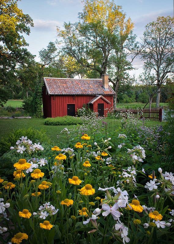 Spring | ladyjig57