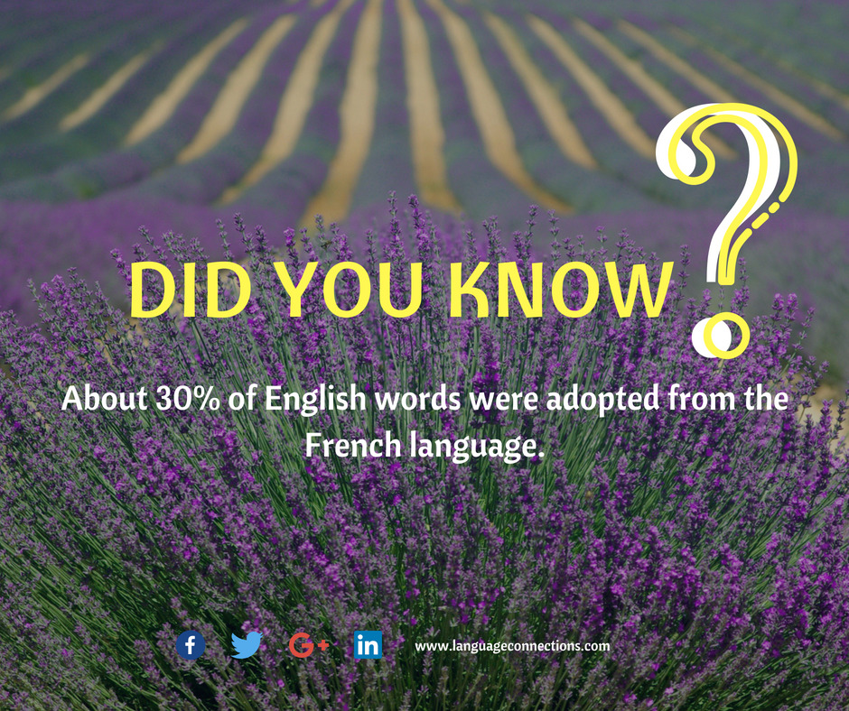 languageconnections Language Connections