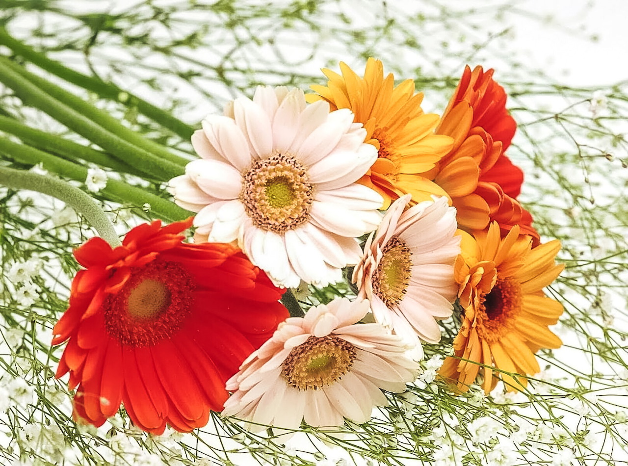 Flowers