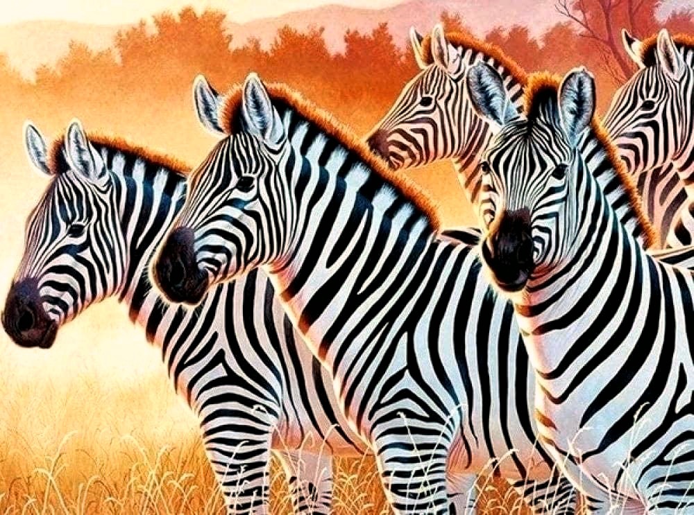 Animals