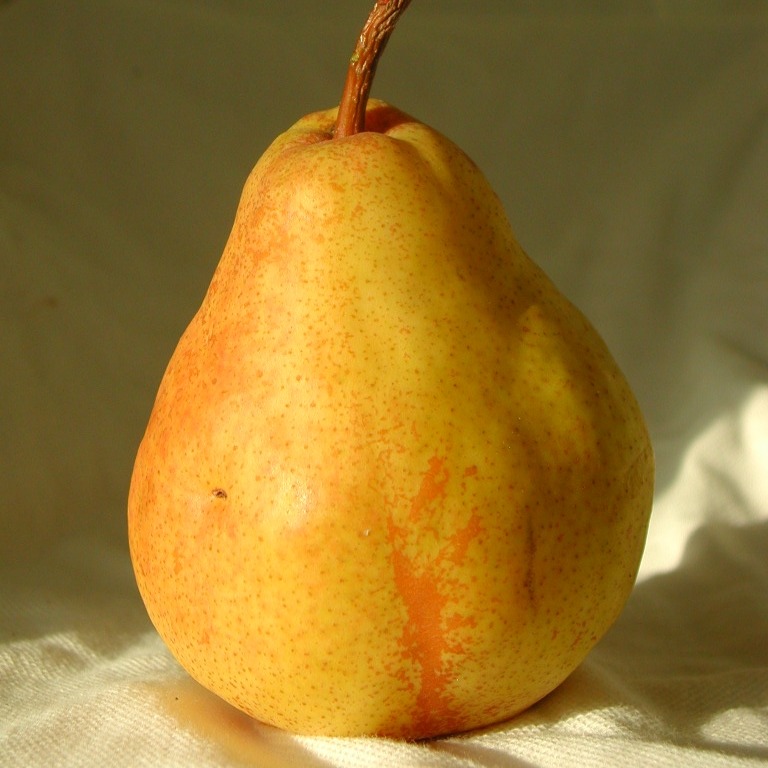 remai