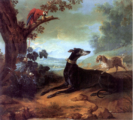 sashoe - Dogs