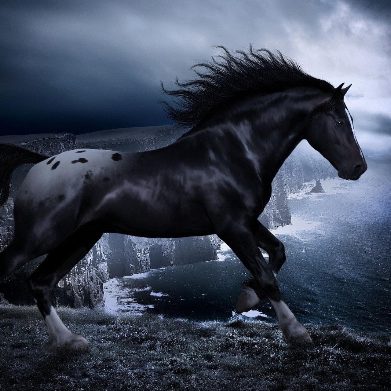 Черный конь песня. Черный конь. Красивый черный конь. Черный жеребец. Обои лошади.