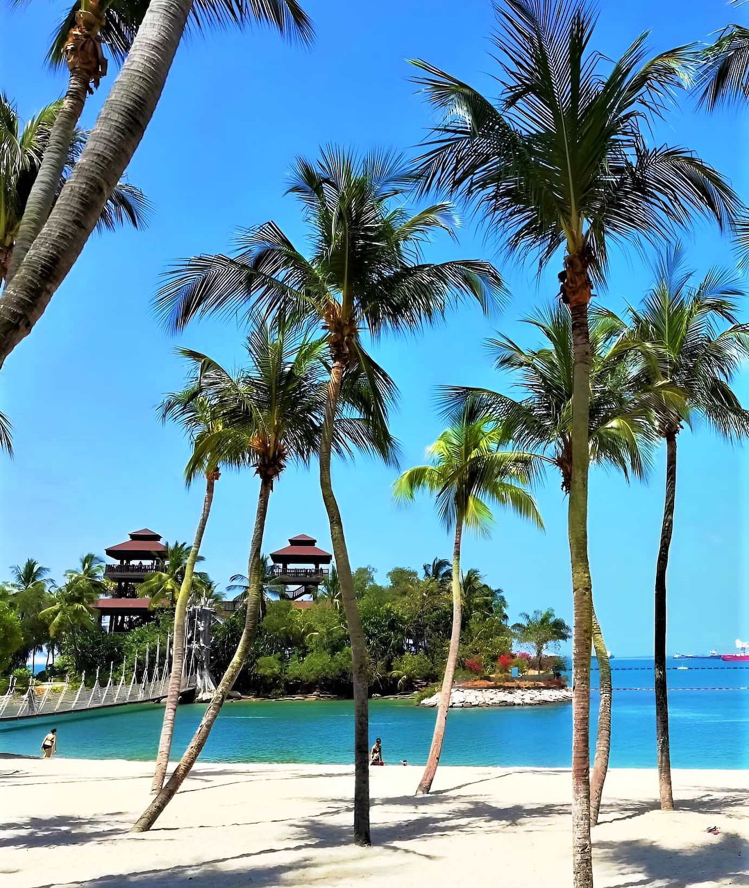 Tropical
